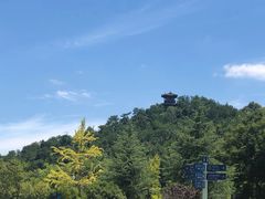 -梦姑塘文化公园
