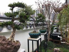 -道南書院·私房菜·早午茶·茶馆