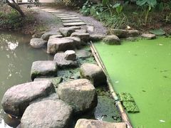 -西院1号(龙井店)