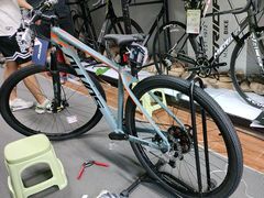 -道路口单车爱瓦士dahon大行