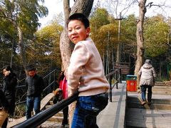 -上海佘山国家森林公园西佘山园