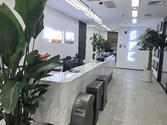 -新东方斯芬克艺术留学作品集培训(郑州校区)