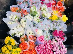 -循礼门鲜花花市(武汉循礼门店)