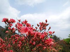 -永州阳明山国家森林公园