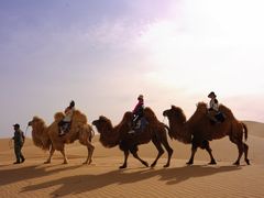 -亿利库布其七星湖沙漠生态旅游区