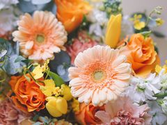 -花生FM_FLOWERS