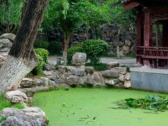-莲湖公园