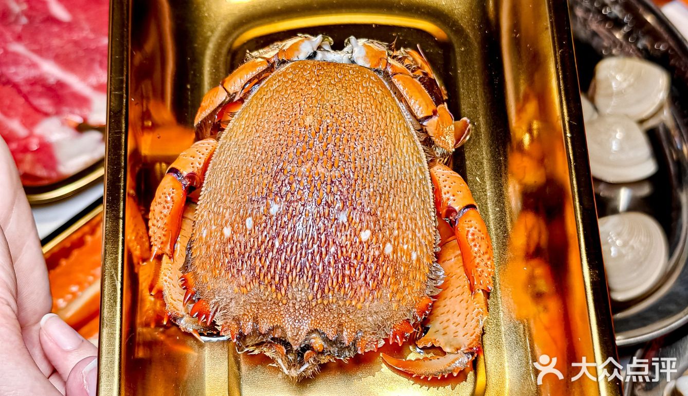 惊呆了❗这家海鲜火锅真比菜市场还划算～