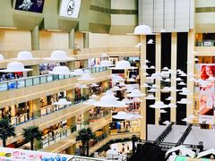 -1981牛排西餐厅(海信店)