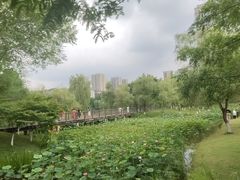 -沐仙湖湿地公园