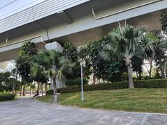 -宝安西湾红树林湿地公园