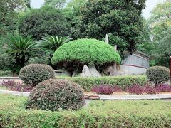 -韶山毛泽东同志故居