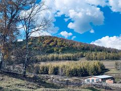 -塞罕坝国家级自然保护区