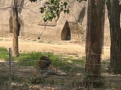 -秦皇岛野生动物园