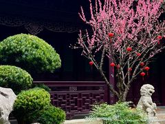 -复旦大学附属华山医院(总院)