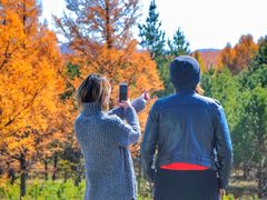 -塞罕坝国家级自然保护区