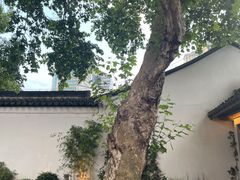 -鲤院·新中式美学·庭院餐厅(夫子庙店)