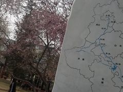 -桃花堤公园