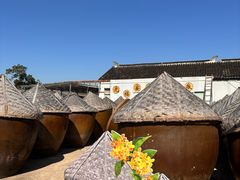 -苏州市吴中区光福窑上花果蜜饯厂