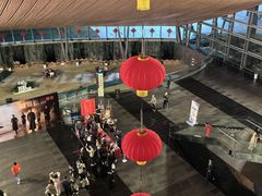 -合肥大剧院