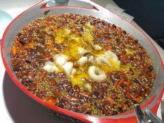 -雲蜀龙阁·金牌水煮鱼(方庄店)