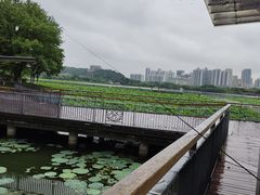 -古琴台