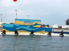 -秦皇岛乐岛海洋王国