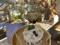 -野草莓自由市场