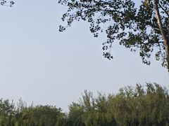 -汉长安城未央宫国家考古遗址公园