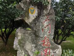 -橘子洲景区