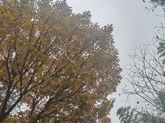 -九龙潭景区