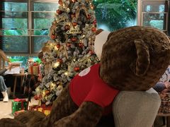 -咖法森林·咖啡  酒吧(天河店)