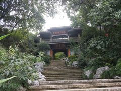 -中国茶叶博物馆(双峰馆区)