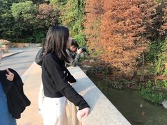 -云溪植物园
