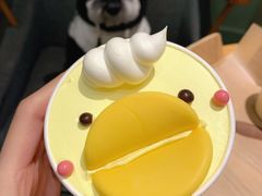 -多乐之日(华贸天地店)
