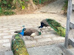 -广州市帽峰山景区