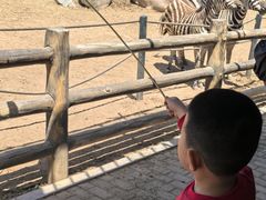 -大连森林动物园