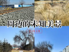 -京粮广场