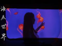 -芜湖新华联大白鲸海洋公园