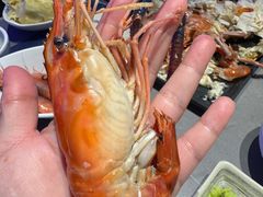 -奔海甄选·活鲜刺身铁板烧自助(太原里店)
