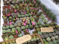 -秦美花卉(天朗·莱茵小城2期店)
