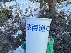 -茶百道(惠新东街店)