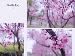 -白塘生态植物园