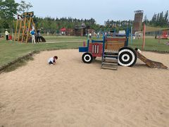 -上海长兴岛郊野公园