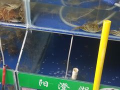 -阳澄湖大闸蟹·琼灵阁牌品牌连锁(吴中总店)