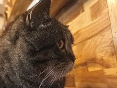 -云端咖啡私房店(河松街店)