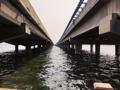 -丁香湖公园