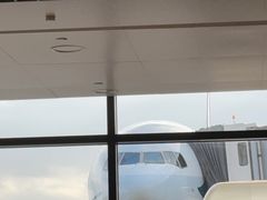 -上海浦东国际机场-T2航站楼