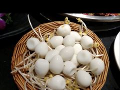 -巴蜀印象火锅(永陵总店)