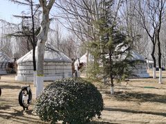 -九十九顶毡房(阜石路店)